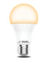 LED Bulb 3W